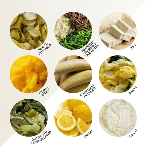 Illustration of various food items including pickled cucumber, assorted seasoned vegetables, tofu, pickled radish, Asian long cucumber, kimchi, dried outer cabbage leaves, lemon, and yogurt on a beige background.