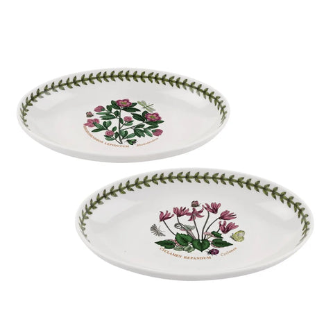 Two ceramic plates with botanical designs on a white background