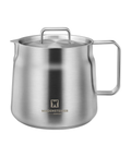 Stainless steel water kettle with handle on a white background