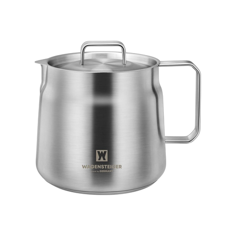 Stainless steel water kettle with handle on a white background
