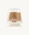 Container with sesame seeds on a white background
