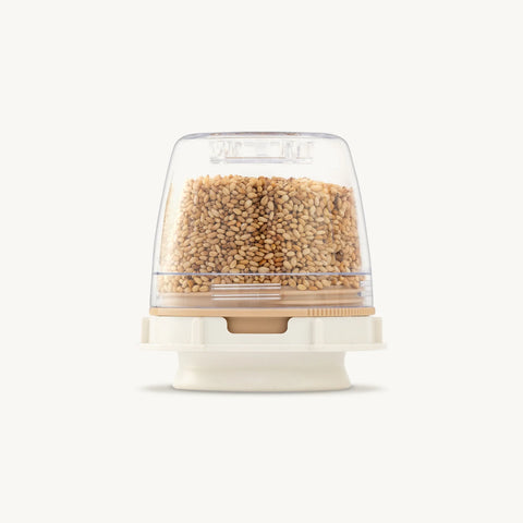 Container with sesame seeds on a white background