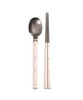 Stainless steel spoon and chopstick set with ivory handles on a white background