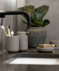 Bathroom counter with toothbrush holder, soap dish, and plant in a modern setting.